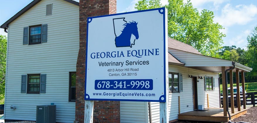 Georgia Equine Vets Practice